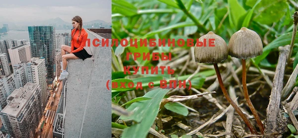 круглые Иннополис