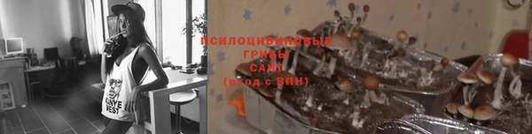 круглые Иннополис