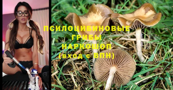 круглые Иннополис